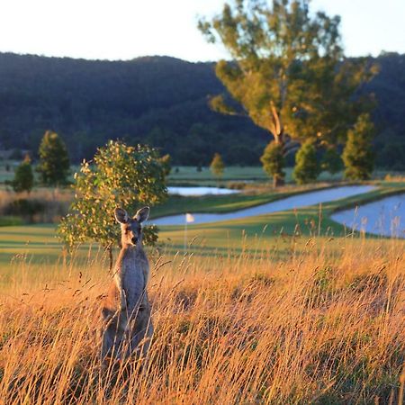Chateau Yering Yarra Glen Kültér fotó